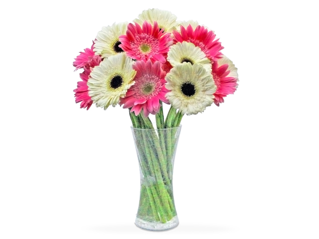 Florist Flower in Vase - Gerbera Florist Vase Decor G01 - L36509341 Photo