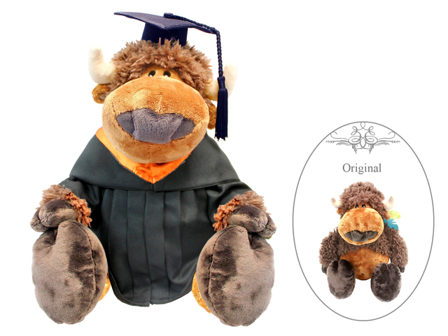 Florist Gift - Nici Graduation Doll - Buffalo - L3106140 Photo