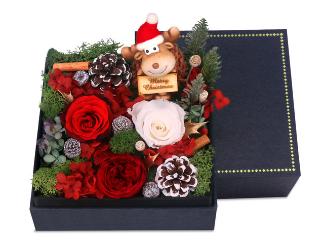 Preserved Forever Flower - Christmas Preserved Flower Gift Box M61 - PR1108A3 Photo