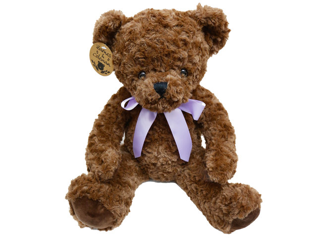 泰迪熊毛公仔 - Barnes & Coleman 经典朱古力棕色 Teddy Bear - L098585 Photo